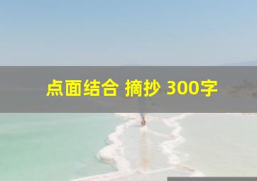 点面结合 摘抄 300字